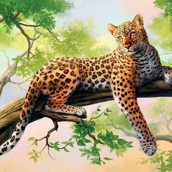 Leopard Looks Jungle From A Tree