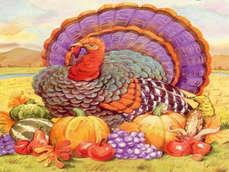 Turkey Time And Harvest