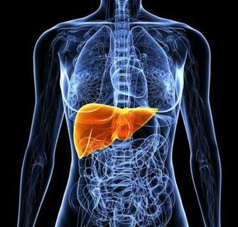 Consortium Finds Chronic Liver Cirrhosis Clues Wellcome Sanger