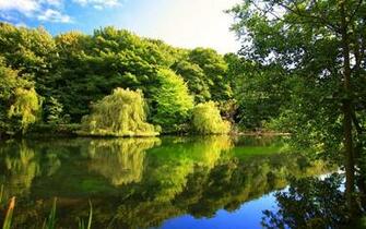 HD Natural Wallpaper