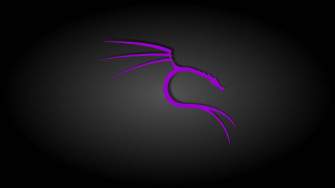 Black And Purple Aesthetic Kali Linux Wallpaper
