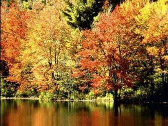Thanksgiving And Autumn Desktop Wallpaper