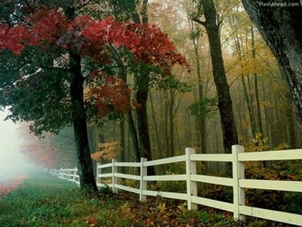 Beautiful Nature Wallpaper For Desktop
