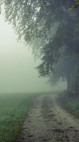 Resultado De Imagem Para Country Field Wallpaper Apple