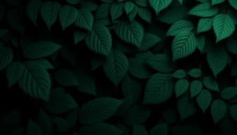 Best Dark Green Wallpaper