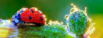 Beautiful Wallpaper For Timeline Image Pictures Becuo