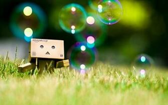 Danbo Image