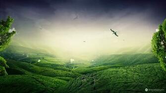 Green Landscape Wallpaper HD