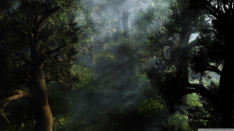 Mystical Forest Wallpaper