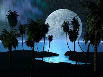 Full Moon Night