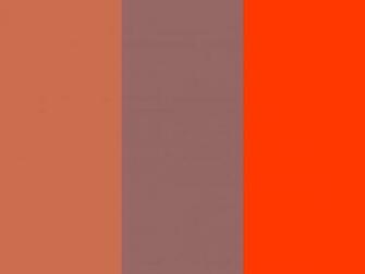 Copper Red Rose And Coquelicot Solid Three Color Background