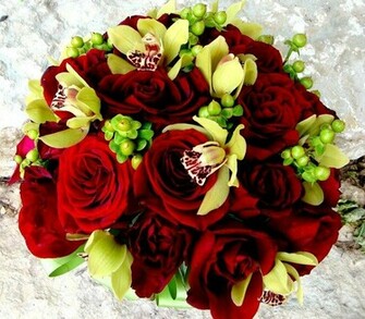 Pakistani Cricket Player Love Rose Flower Wallpaper
