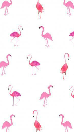 Similiar Flamingo Print Wallpaper Keywords