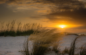 Wallpaper Winter Beach The Sun Sunset Wind Plants Fl