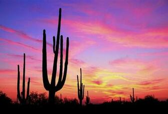 Mindless Mirth Sunsets Are Beautiful Where I Live But These