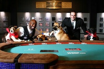 Pin Dog Playing Poker Wallpaper Painting Art