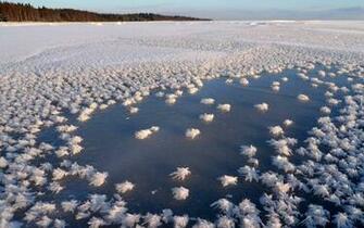 Lake Forest Wallpaper Wonderful Frozen Stock Photos