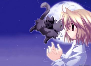 Kawaii Cats Wallpaper Discount Off Ingeniovirtual