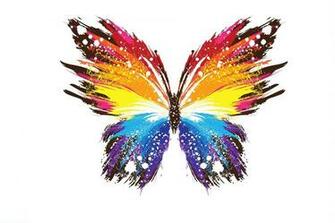 Colorful Butterfly Wallpaper Background Hivewallpaper