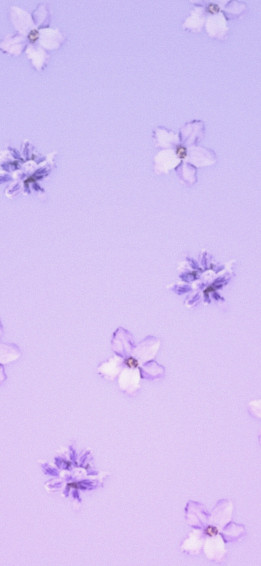 Aesthetic Lavender Wallpaper Light