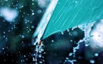 Summer Wide Wallpaper High Definition Quality