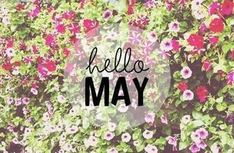 Hello May Pictures Photos And Image For