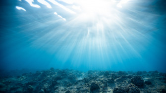4k Underwater World Ocean Corals Wallpaper