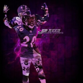 Ed Reed Wallpaper Background Theme Desktop
