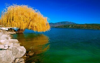 Nature Wallpaper HD