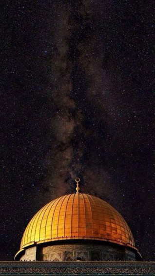 Palestine HD Wallpaper Background Mrwallpaper