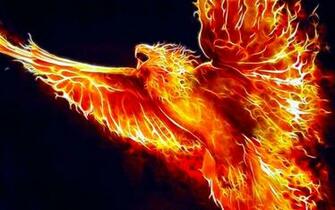 Flaming Eagle Wallpaper