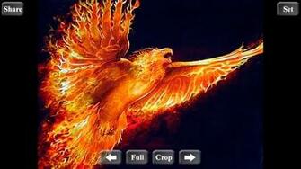 Rising Phoenix Wallpaper HD App Para Android