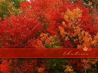 Autumn Screen Saver And Wallpaper Fall Pictures