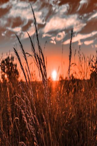 Sunset Wallpaper Western