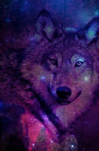 Galaxy Wolf