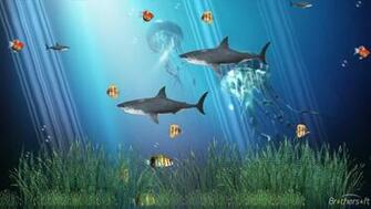 Coral Reef Aquarium Animated Wallpaper