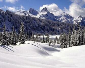 Winter Wonderland Dreamy Snow Scene Wallpaper