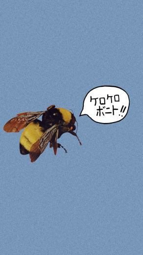 Tribute To Tyler The Creator W A L In