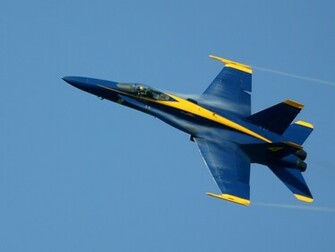 Blue Angel Y Thunderbird Espectaculos Aereos