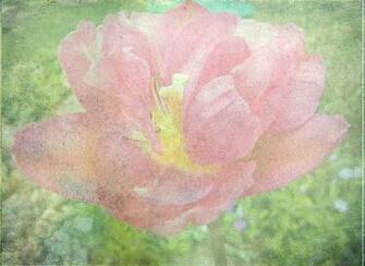 Soft Grunge Background Image Pictures Becuo