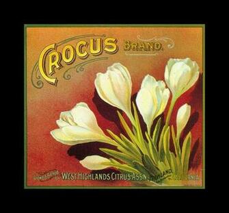 Crocus Brand Oranges Vintage Fruit Crate Labels Wallpaper Image