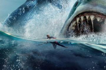 Sea Sharks Background Image And Wallpaper Yl Computing