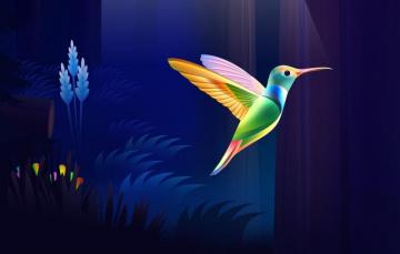 Wallpaper Colorful Dark Nature Bird Wood Wings Rendering