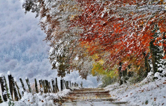 November Wallpaper