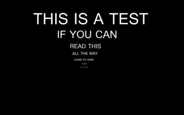 Funny Computer Wallpaper On