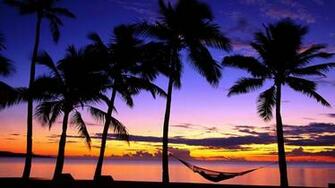 Beach Sunset Hammock Wallpaper HD Desktop And Mobile Background