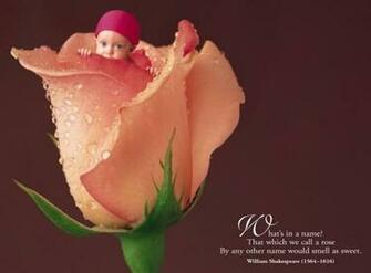 Anne Geddes Valentine Babies