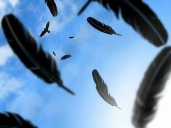 Crow HD Wallpaper Dwito