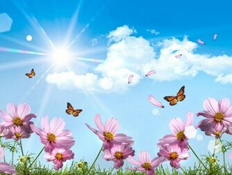 The Best Summer Desktop HD Wallpaper