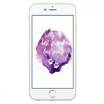 Best Friend Has Paws Phone Wallpaper By Choosing Your Resolution
